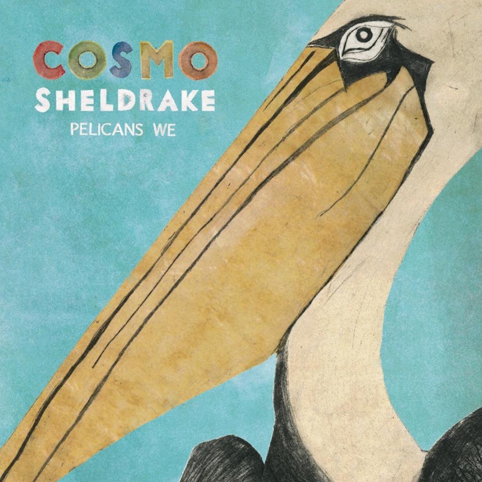 Pelicans We – Cosmo Sheldrake